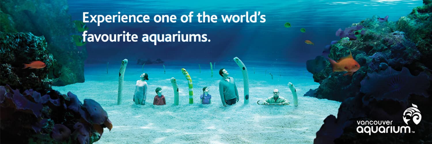 Unlocking Household Engagement: Vancouver Aquarium's Success with VDO.AI's CTV Ads